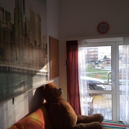 Apartament Przy Parku Noclegi Płock Exterior foto